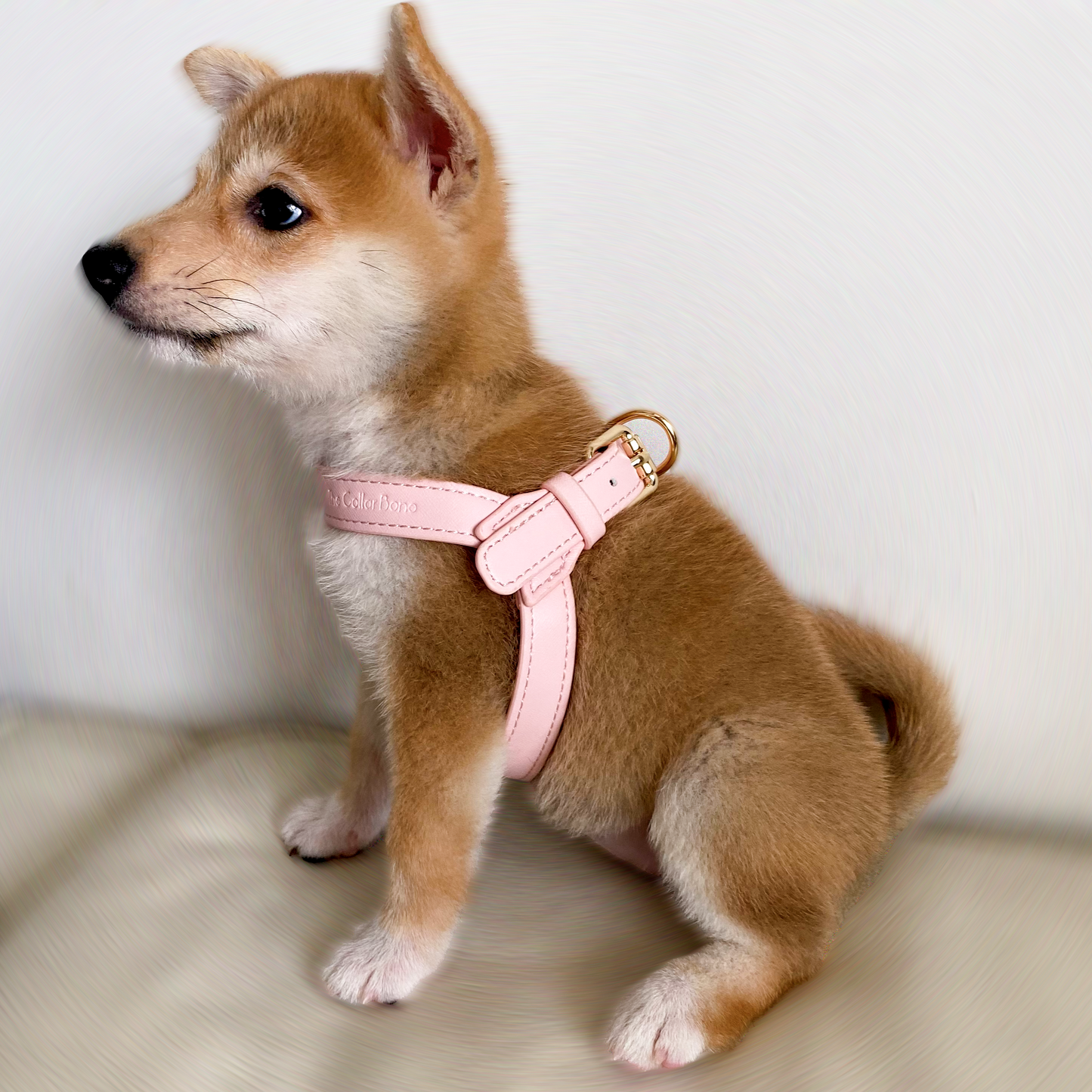 Kloé Step-in Dog Harness in Candy Pink