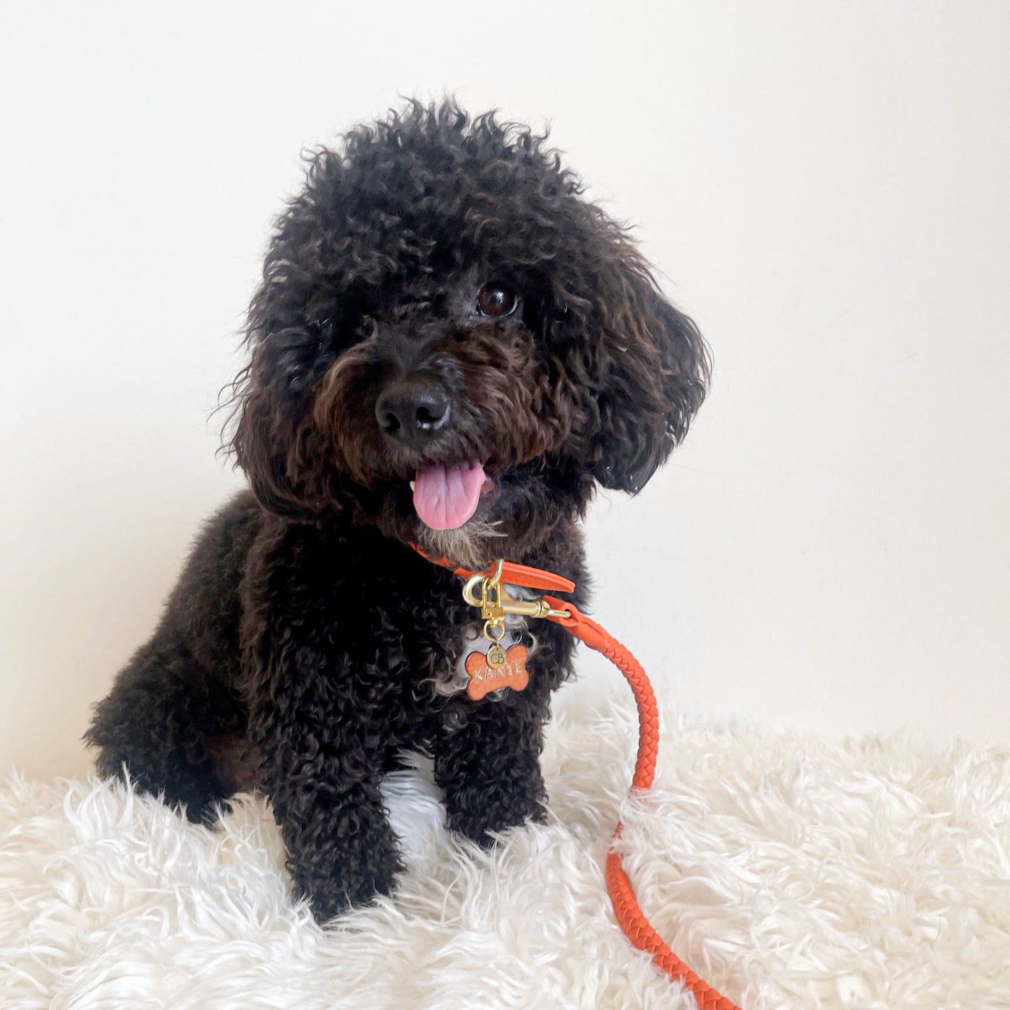 Héra Soft Braided Dog Leash in Mandarin Orange