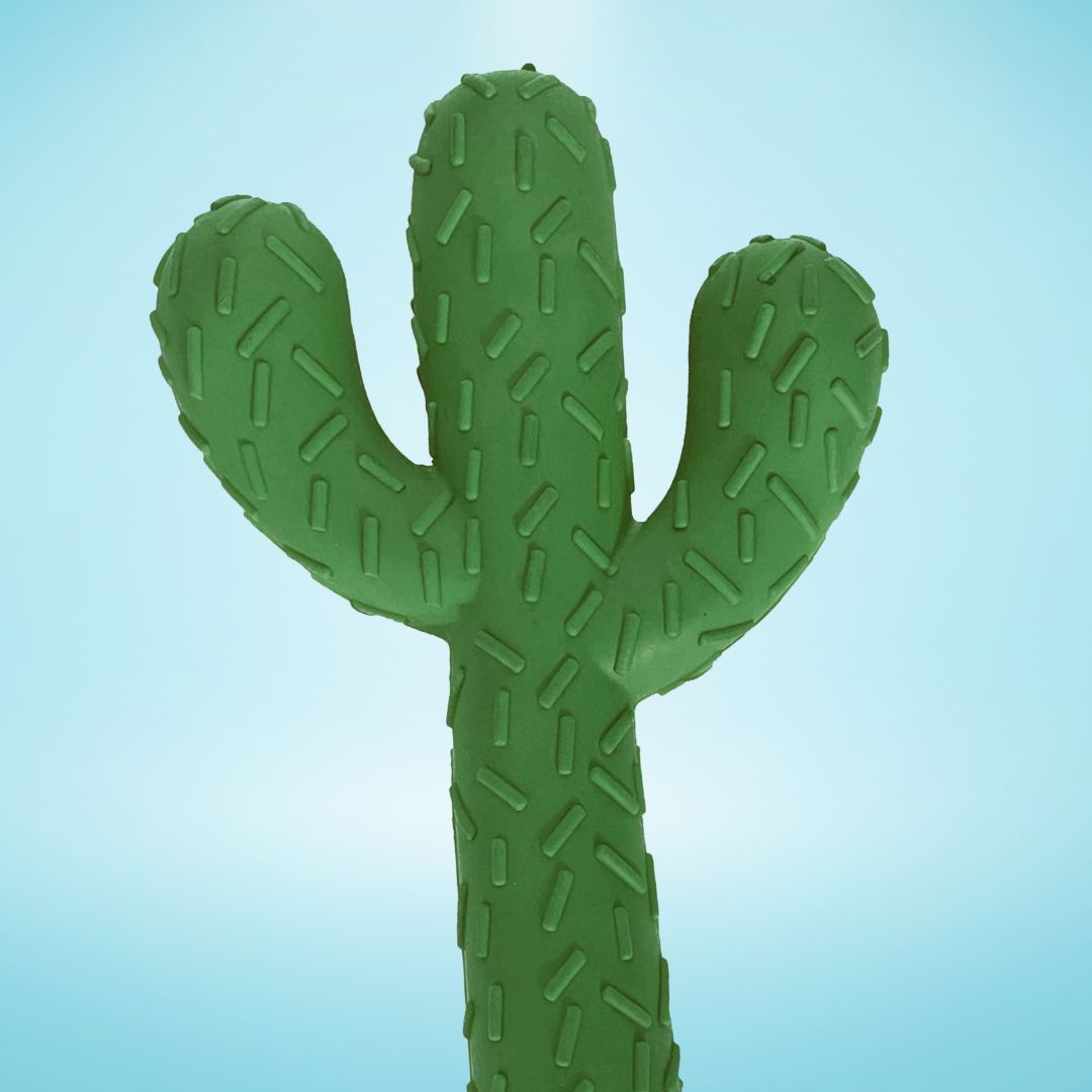 Cactus Hard Rubber Chew Toy