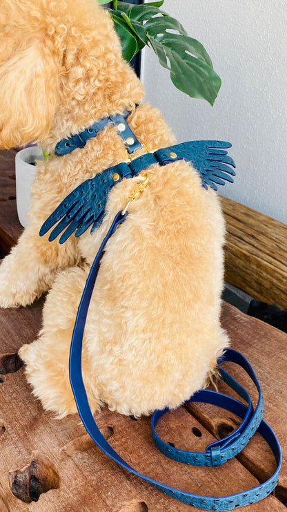Gabriel's Wings Dog Harness and Leash set in Moonlight (Ostrich texture)