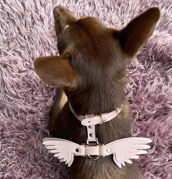 Gabriel s Wings Harness and Leash set in Cloud Pink Smooth