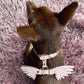 Gabriel's Wings Harness and Leash set in Cloud Pink + Snow White (Smooth)