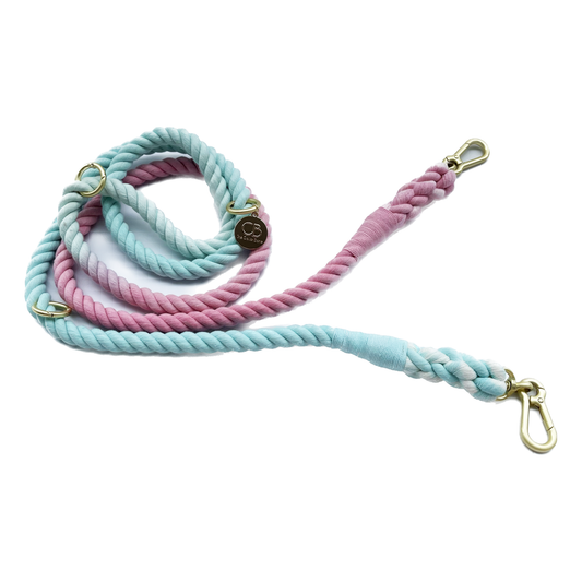 Multiway Handsfree Training Rope Leash in Bubblegum Powder Pink and Blue