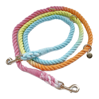 Multiway Handsfree Training Rope Leash in Bubblegum Rainbow