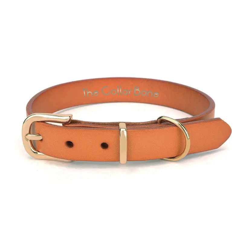 Charly Leather Collar in Burnt Orange