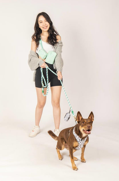 Everyday dog walking pouch in Mint Green