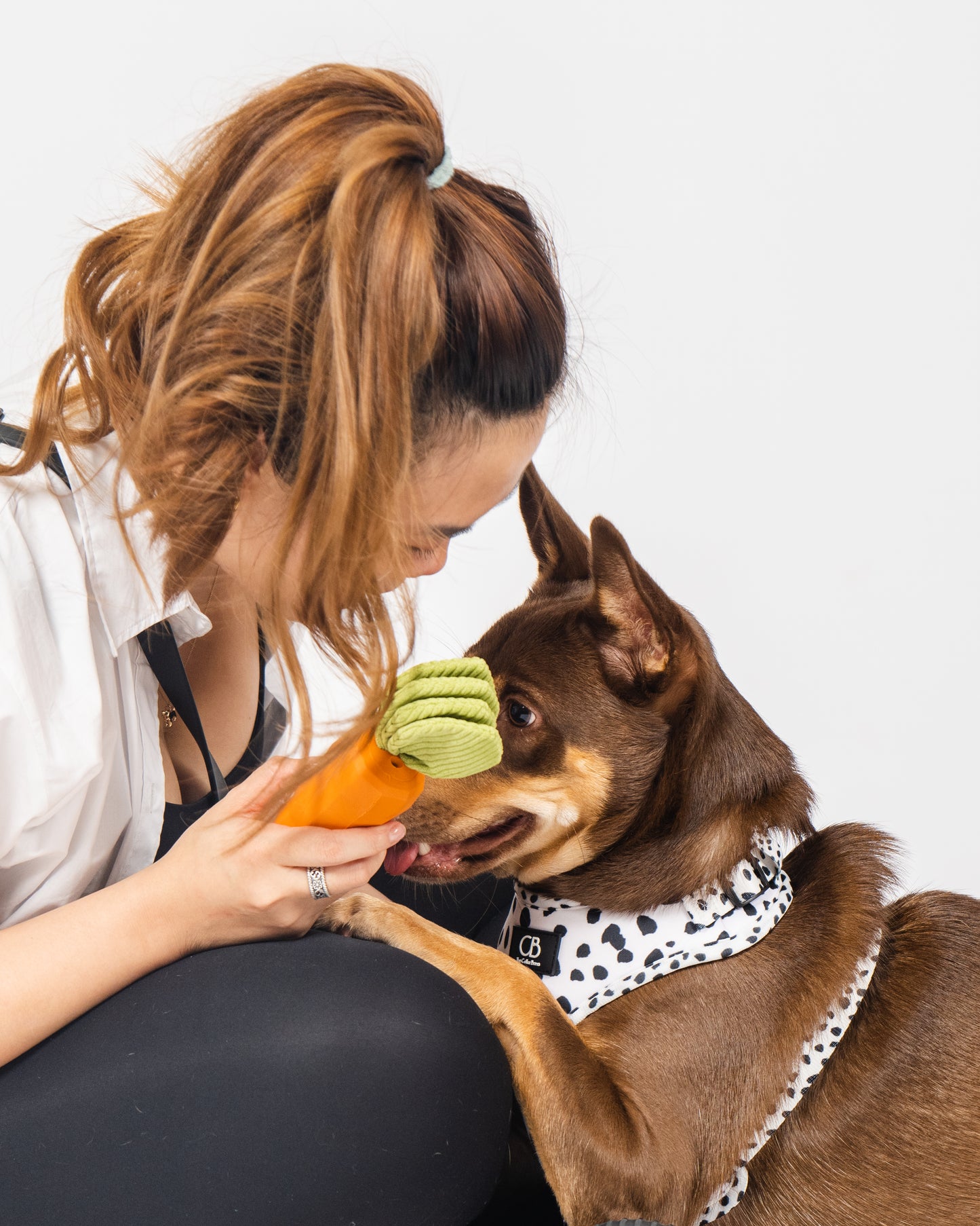 Tough Vegetable Squeaky Dog Chew Toy