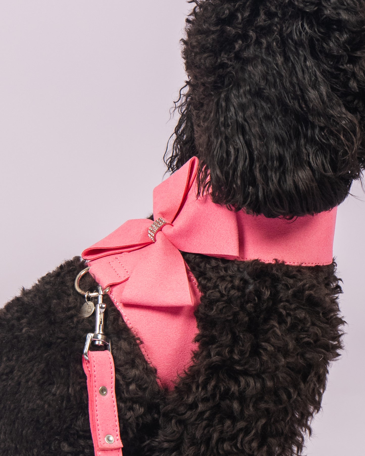 Crystal Cat/Dog Harness and Leash Set in Pink