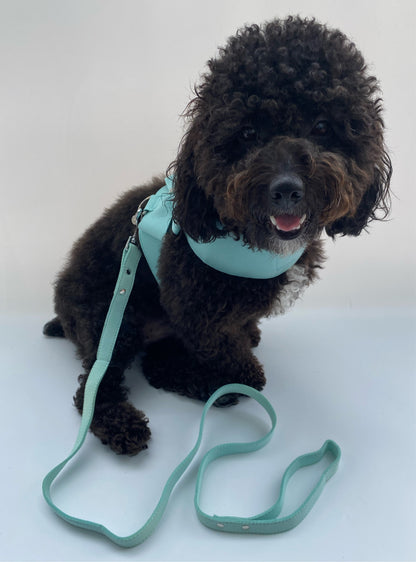 Crystal Cat/Dog Harness and Leash Set in Blue