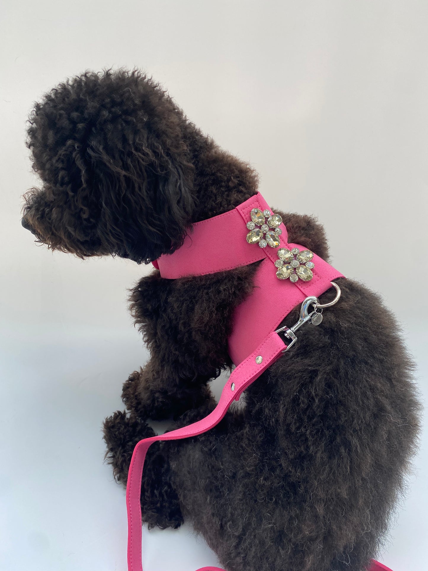 Jewel Cat/Dog Harness and Leash Set in Pink