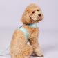 Jewel Cat/Dog Harness and Leash Set in Blue