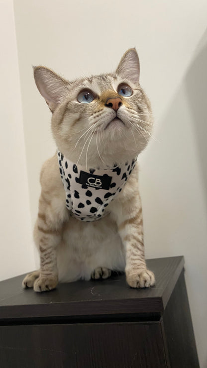 Coconut in size XS