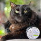 All Natural Paw Butter